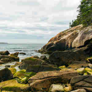 Bar Harbor, Maine 2