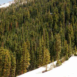 Aspen, Colorado