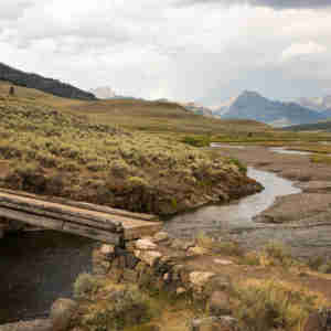 Yellowstone