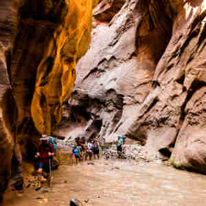 The Narrows Hike - Zion National Park